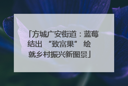 方城广安街道：蓝莓结出 “致富果” 绘就乡村振兴新图景