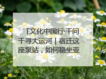 文化中国行·千问千寻大运河｜宿迁这座泵站，如何稳坐亚洲第一宝座？