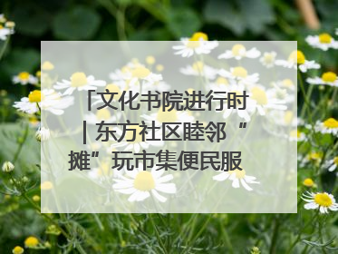 文化书院进行时｜东方社区睦邻“摊”玩市集便民服务日，书写邻里共生新篇章