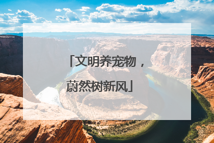 文明养宠物,蔚然树新风