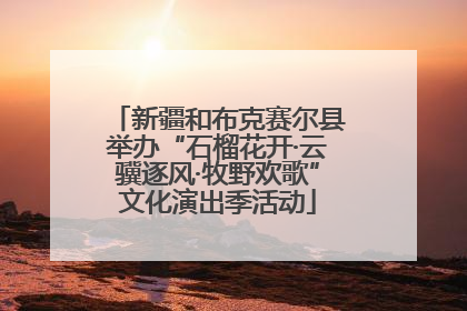 新疆和布克赛尔县举办“石榴花开·云骥逐风·牧野欢歌”文化演出季活动