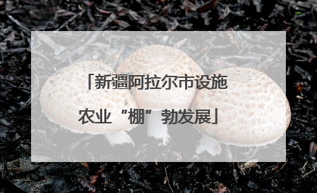 新疆阿拉尔市设施农业“棚”勃发展