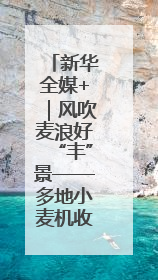 新华全媒+｜风吹麦浪好“丰”景——多地小麦机收一线见闻