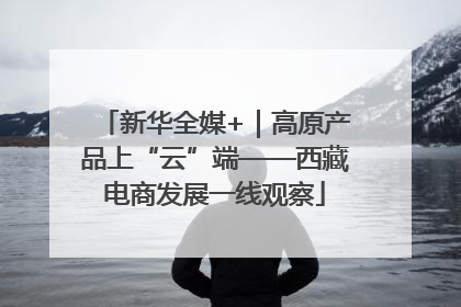 新华全媒+｜高原产品上“云”端——西藏电商发展一线观察