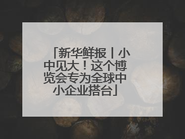 新华鲜报丨小中见大！这个博览会专为全球中小企业搭台