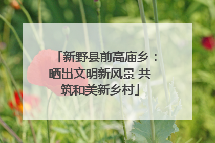 新野县前高庙乡：晒出文明新风景 共筑和美新乡村