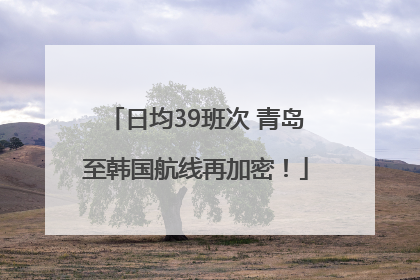 日均39班次 青岛至韩国航线再加密！