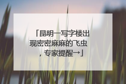 昆明一写字楼出现密密麻麻的飞虫，专家提醒→