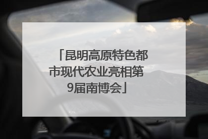 昆明高原特色都市现代农业亮相第9届南博会