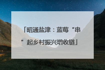 昭通盐津：蓝莓“串”起乡村振兴增收链