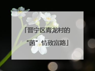 晋宁区青龙村的“菌”情致富路