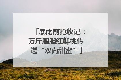 暴雨前抢收记：万斤胭脂红鲜桃传递“双向甜蜜”