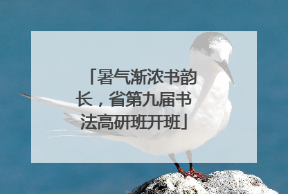 暑气渐浓书韵长，省第九届书法高研班开班