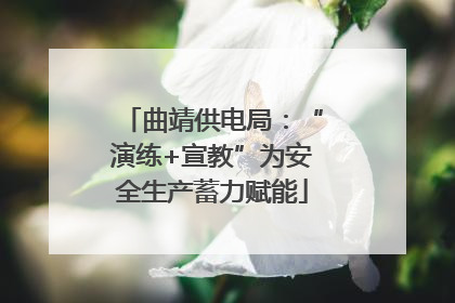 曲靖供电局：“演练+宣教”为安全生产蓄力赋能