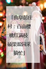 曲阜彭庄村：百亩樱桃红满枝 硕果盈园采摘忙