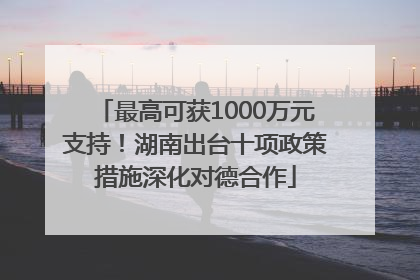 最高可获1000万元支持！湖南出台十项政策措施深化对德合作