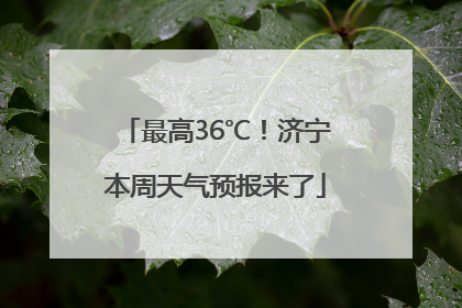 最高36℃！济宁本周天气预报来了