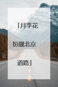 月季花扮靓北京道路