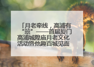 月老牵线，高浦有“囍”——首届厦门高浦城隍庙月老文化活动暨他趣百城见面会隆重举办