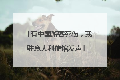 有中国游客死伤，我驻意大利使馆发声