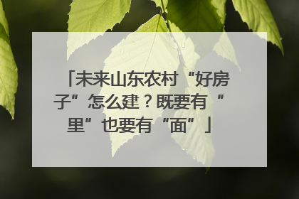 未来山东农村“好房子”怎么建？既要有“里”也要有“面”
