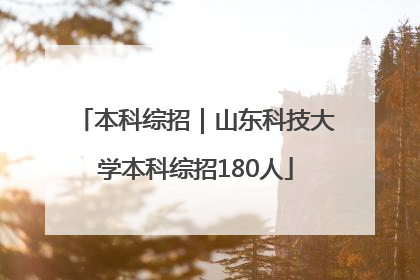 本科综招｜山东科技大学本科综招180人