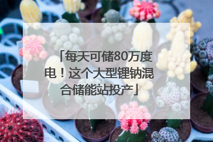 每天可储80万度电！这个大型锂钠混合储能站投产