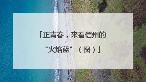 正青春，来看信州的“火焰蓝”（图）