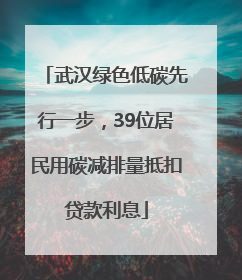 武汉绿色低碳先行一步，39位居民用碳减排量抵扣贷款利息