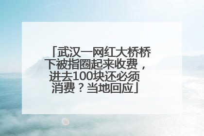 武汉一网红大桥桥下被指圈起来收费，进去100块还必须消费？当地回应
