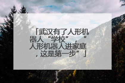 武汉有了人形机器人“学校”，“人形机器人进家庭，这是第一步”