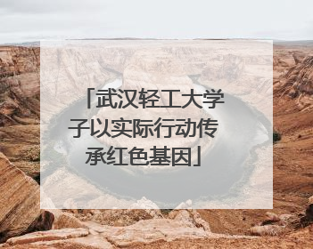 武汉轻工大学子以实际行动传承红色基因