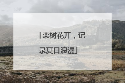 栾树花开，记录夏日浪漫
