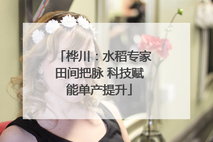 桦川：水稻专家田间把脉 科技赋能单产提升