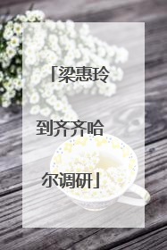 梁惠玲到齐齐哈尔调研