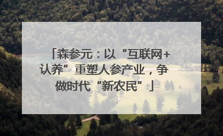 森参元：以“互联网+认养”重塑人参产业，争做时代“新农民”