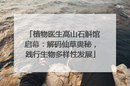 植物医生高山石斛馆启幕：解码仙草奥秘，践行生物多样性发展