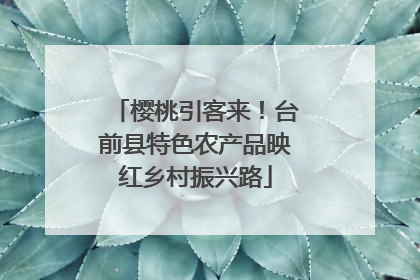 樱桃引客来!台前县特色农产品映红乡村振兴路