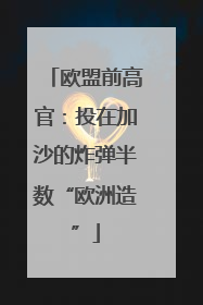 欧盟前高官：投在加沙的炸弹半数“欧洲造”