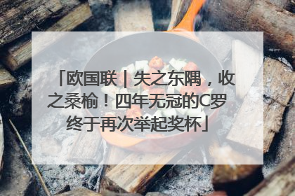 欧国联｜失之东隅，收之桑榆！四年无冠的C罗终于再次举起奖杯