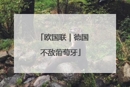 欧国联｜德国不敌葡萄牙