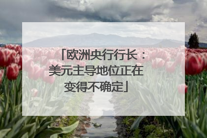欧洲央行行长：美元主导地位正在变得不确定