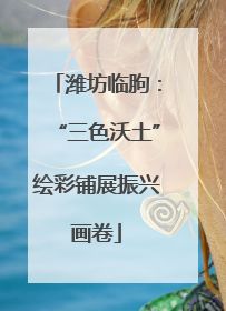 潍坊临朐：“三色沃土”绘彩铺展振兴画卷