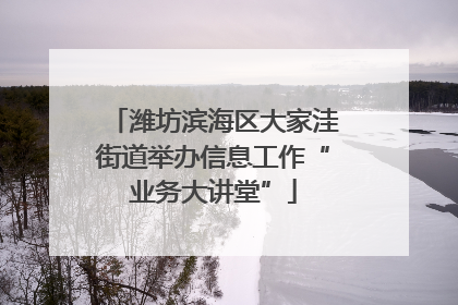 潍坊滨海区大家洼街道举办信息工作“业务大讲堂”