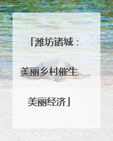 潍坊诸城：美丽乡村催生美丽经济