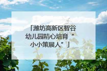 潍坊高新区智谷幼儿园精心培育“小小策展人”