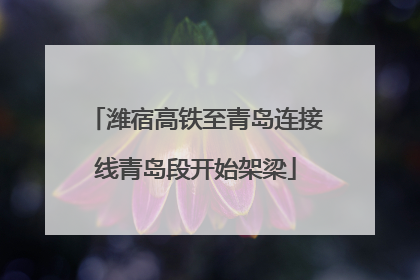 潍宿高铁至青岛连接线青岛段开始架梁