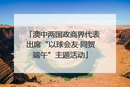 澳中两国政商界代表出席“以球会友·同贺端午”主题活动