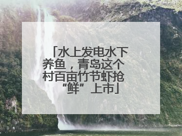 水上发电水下养鱼，青岛这个村百亩竹节虾抢“鲜”上市