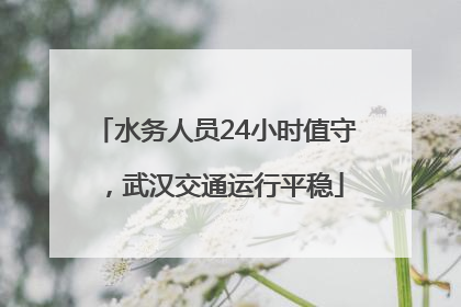 水务人员24小时值守，武汉交通运行平稳